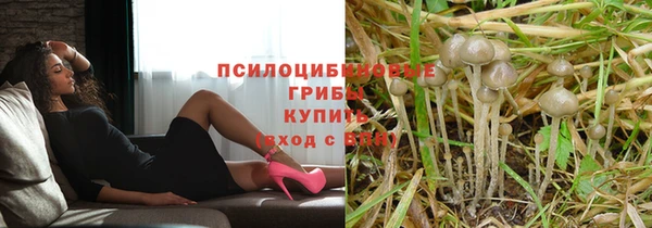 мяу мяу мука Алексин