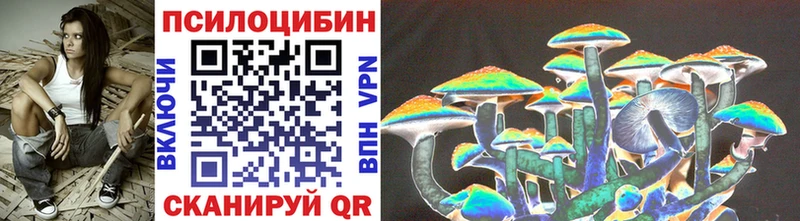 Галлюциногенные грибы Cubensis  Александровск 